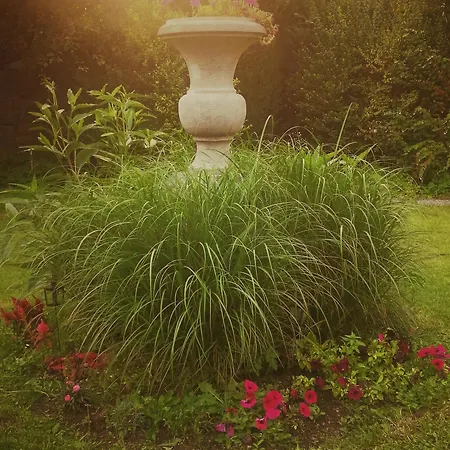 Monsieur Michel Casa de hóspedes