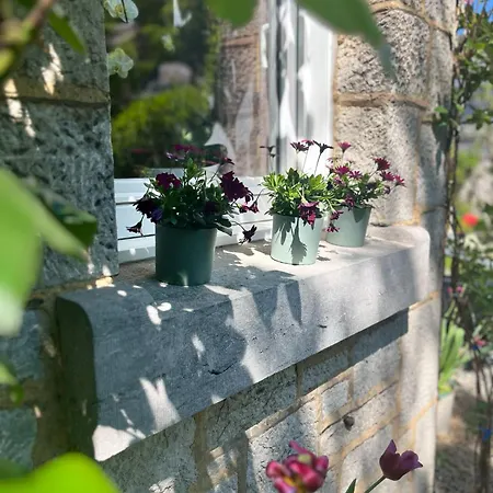 Monsieur Michel Guest house
